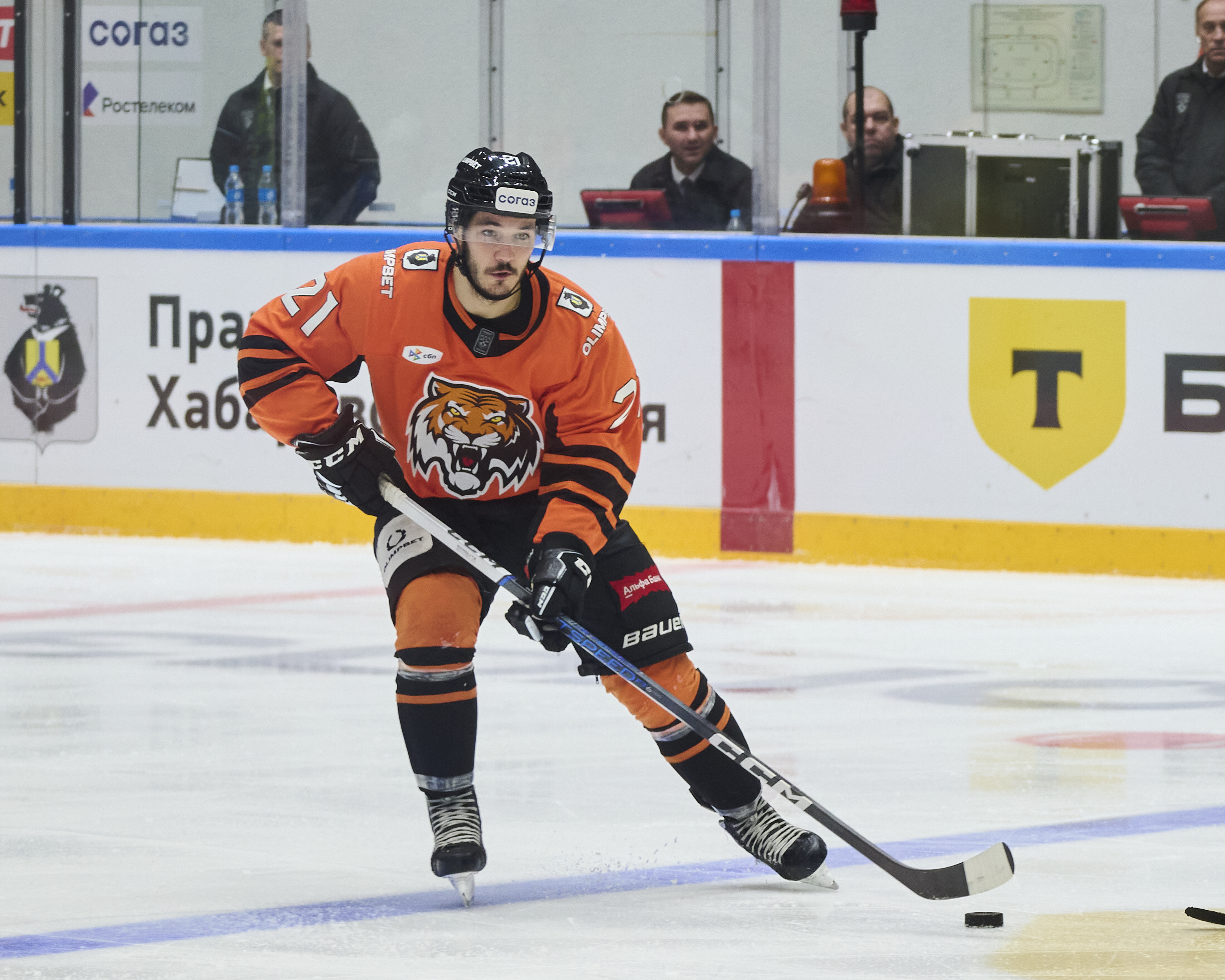 Тигры и Рыси